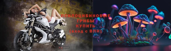 сатива Верхнеуральск