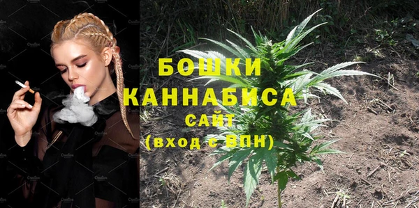 эйфоретик Бородино