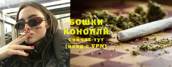 PSILOCYBIN Белокуриха