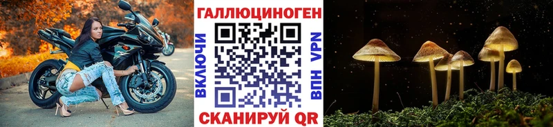 Галлюциногенные грибы Cubensis  Оха 